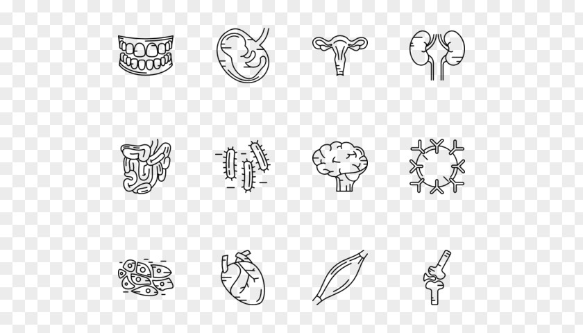 Human Body Parts Line Art Point Angle PNG