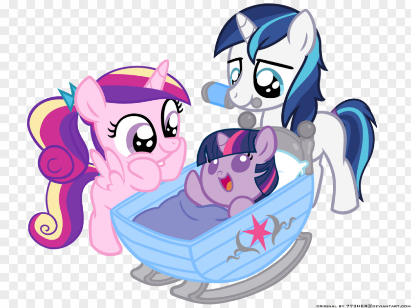 My Little Pony Twilight Sparkle Princess Cadance Rarity Rainbow Dash PNG