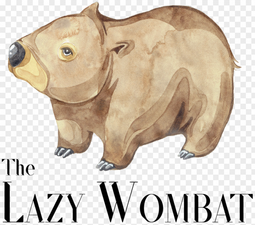 Pig The Lazy Wombat Cafe Restaurant Food PNG