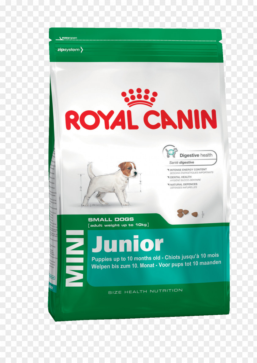 Puppy Poodle Yorkshire Terrier Dog Food Pet PNG