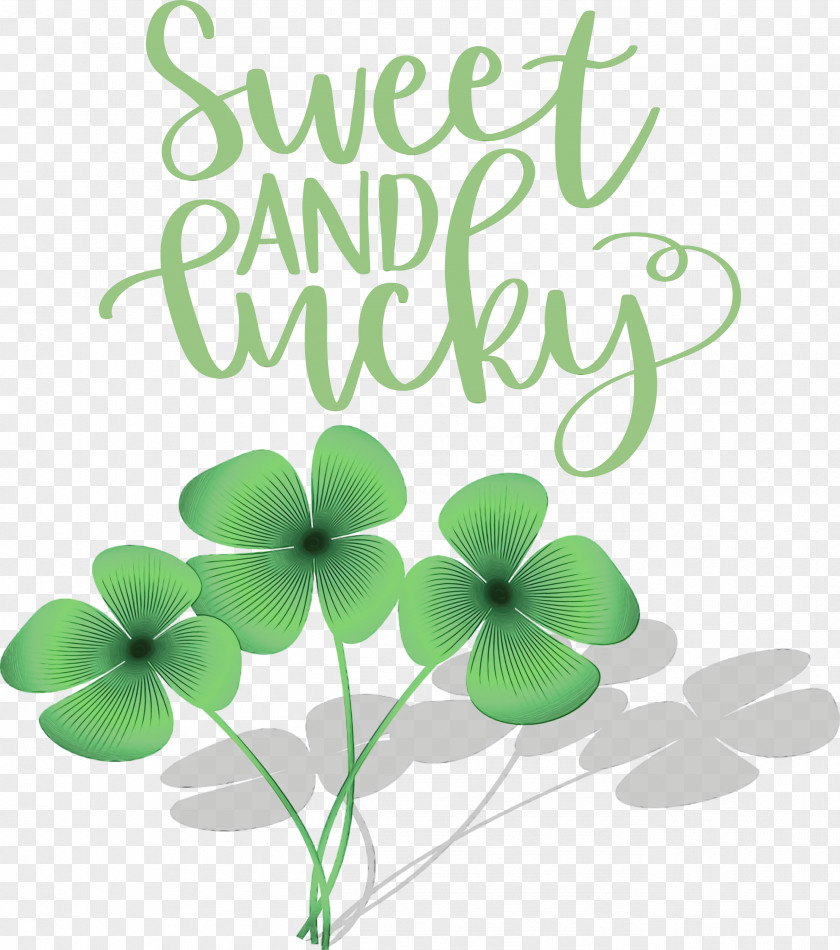 Shamrock PNG