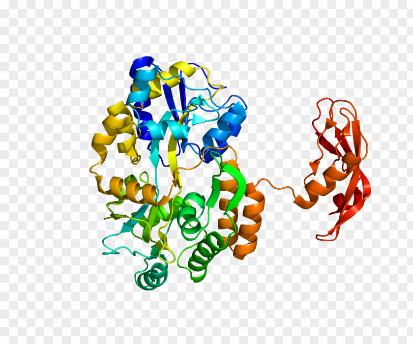 Anxiety Corticotropin-releasing Hormone Receptor 1 Gene Factor Family PNG