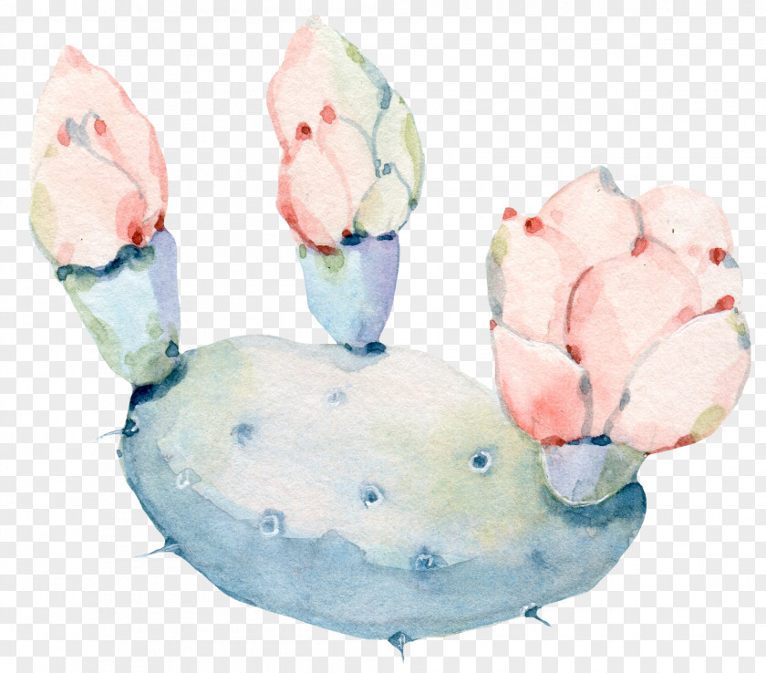 Hand Painted Watercolor Flowers, Green Plants Cactus Watercolor: Flowers Painting Cactaceae PNG