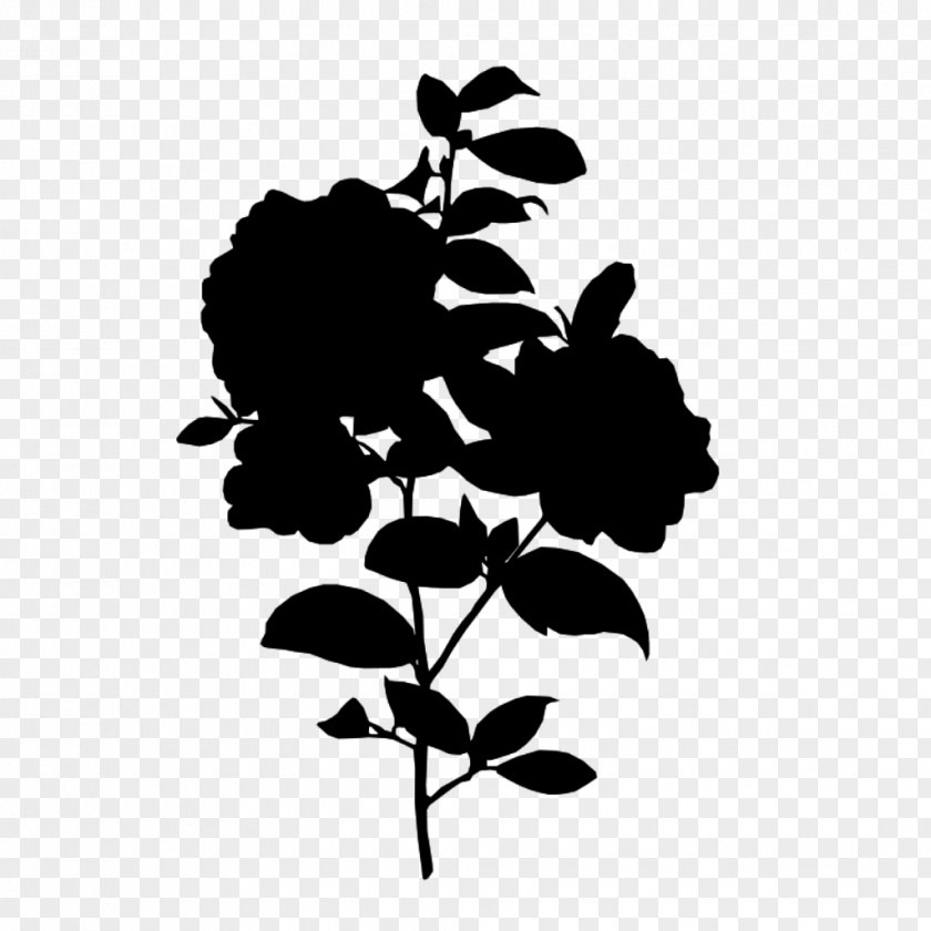 M Clip Art Silhouette Leaf Black & White PNG