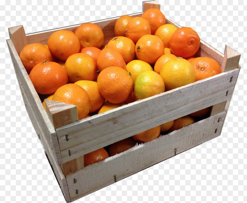 Mr Clementine Algarve Mandarin Orange Tangerine PNG