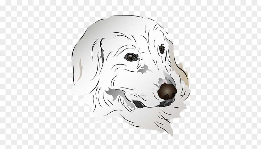 Shirts Dog Breed Puppy Whiskers Snout PNG