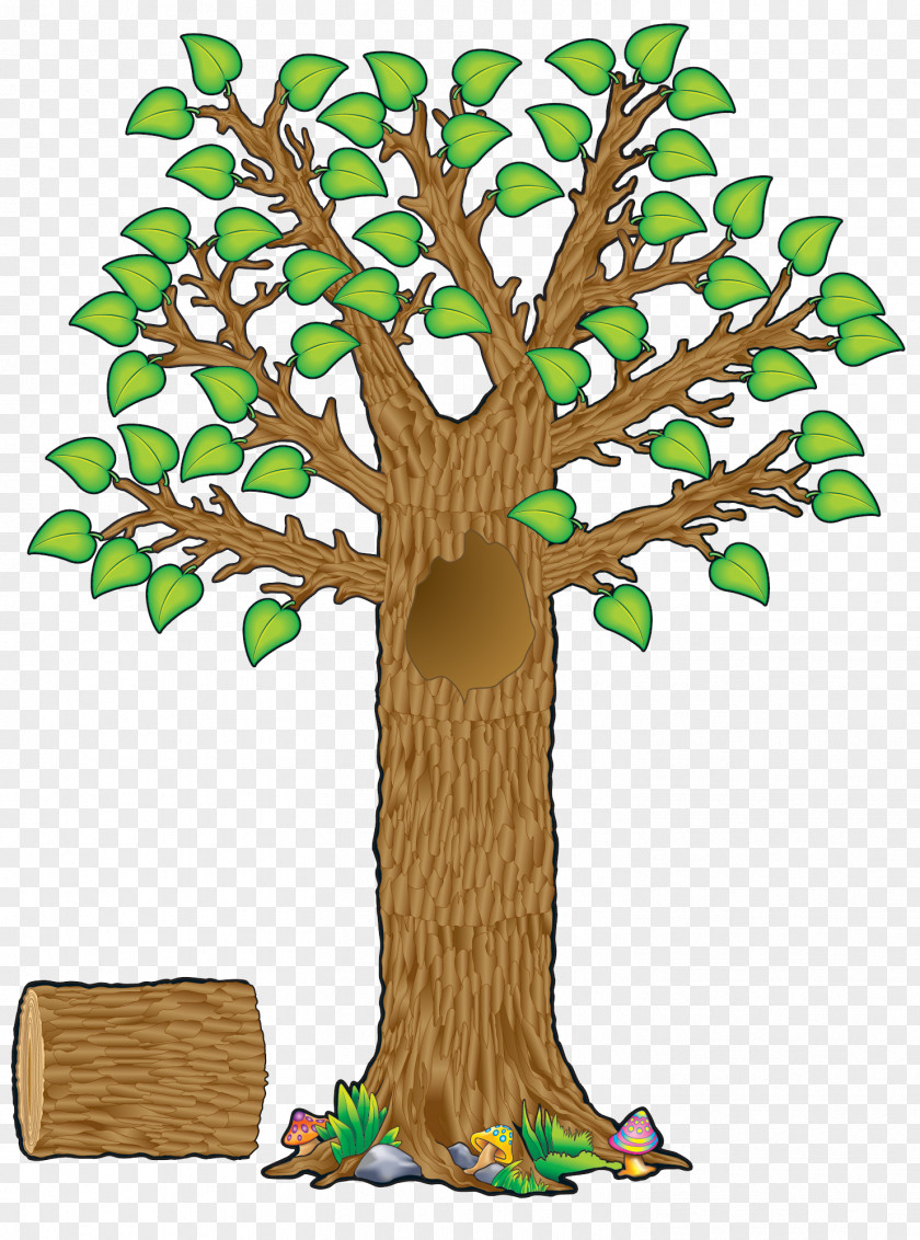 The Tree With Four Seasons Bulletin Board Teacher Education Student PNG