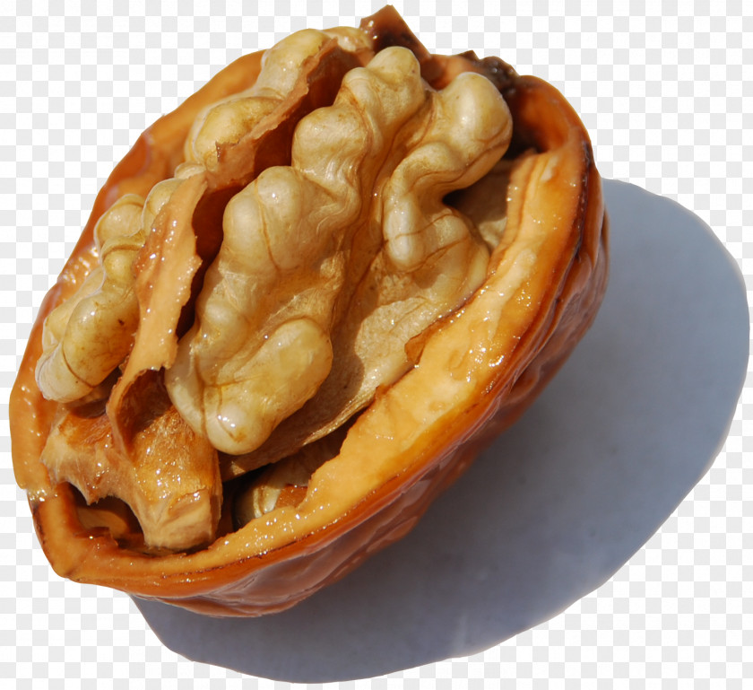 Walnut English Bonbon Fruit PNG