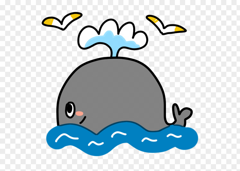 Blue Whale Taiji Cetacea Actor Illustration Seaside Resort PNG