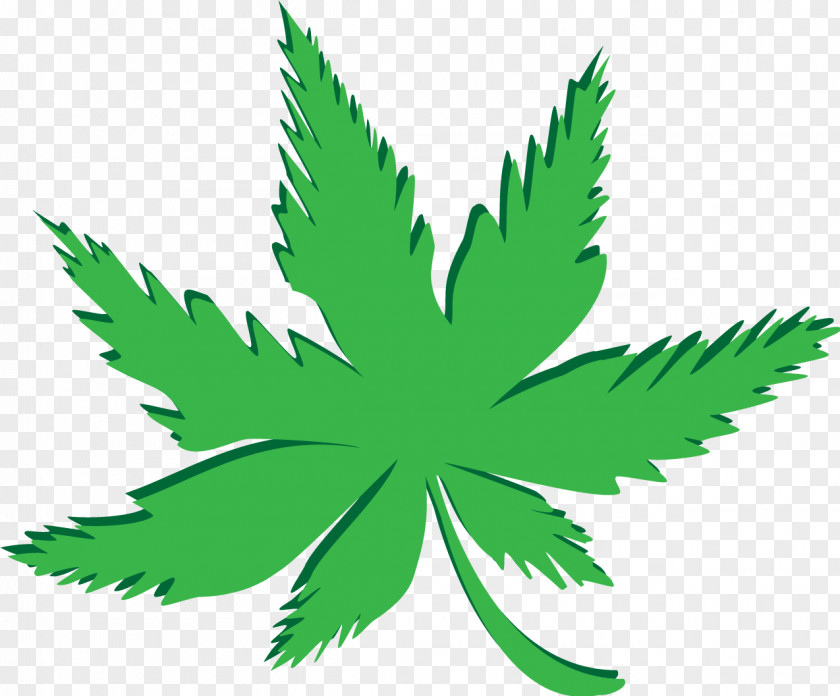 Cannabis PNG