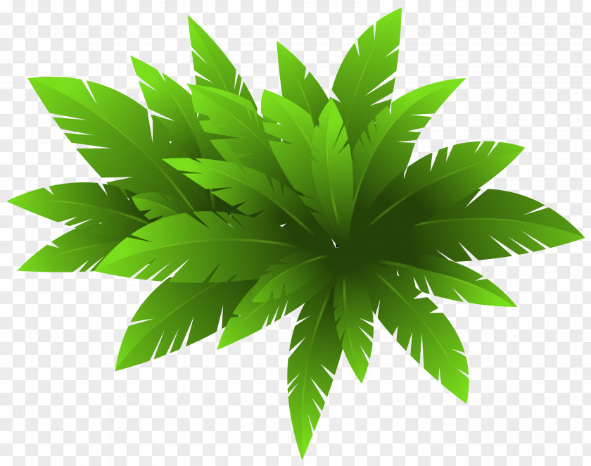 Green Plant Decoration Clipart Image CorelDRAW Clip Art PNG