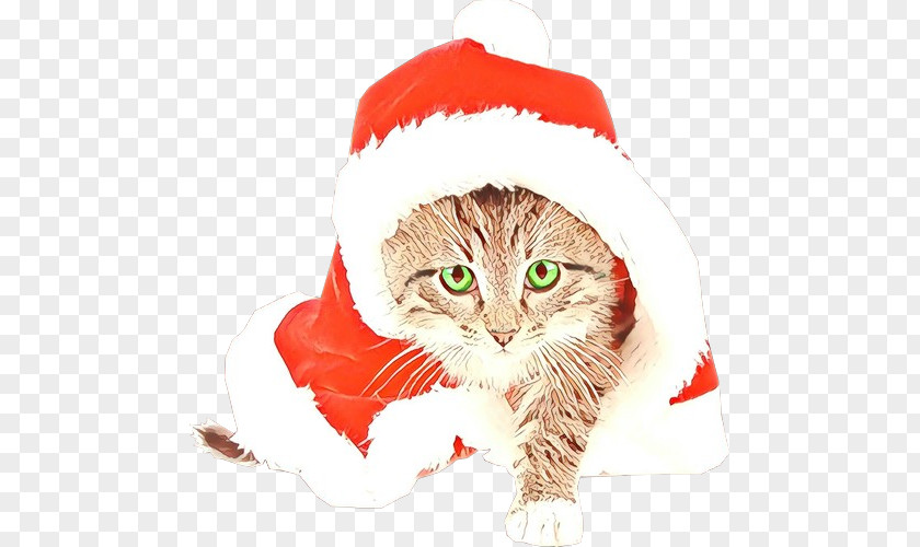 Kitten Norwegian Forest Cat Santa Claus PNG