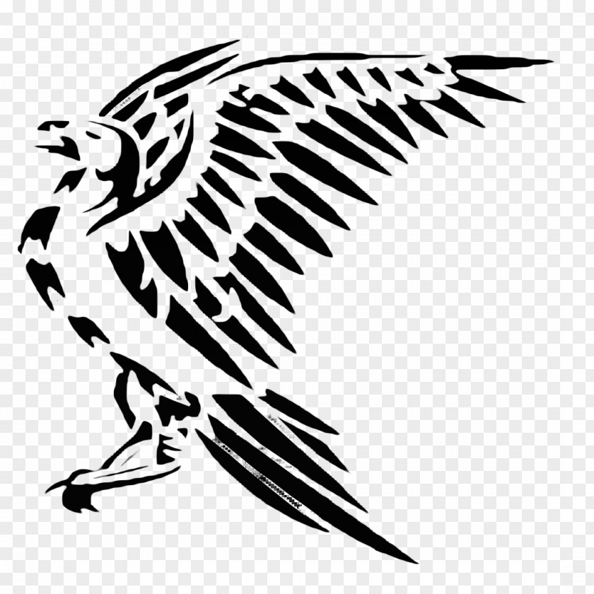 Tattoo Bird Photography Clip Art PNG