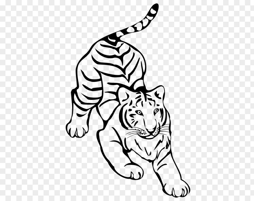 Tiger Felidae Line Art Drawing Clip PNG