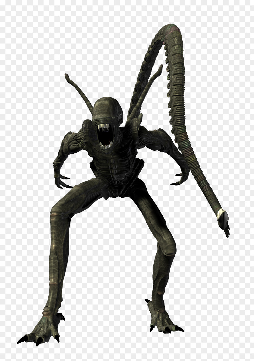 Alien Xenomorph Predator PNG