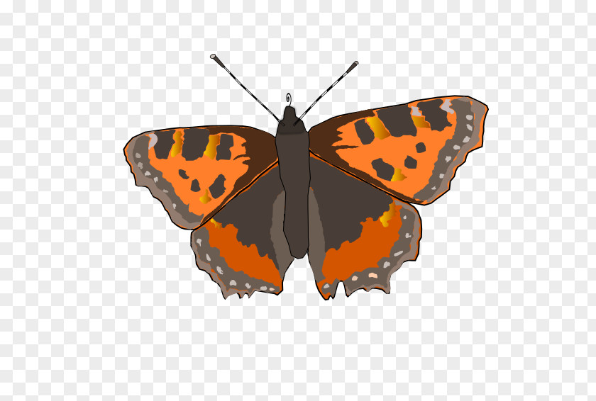 Butterfly Monarch Pieridae Gossamer-winged Butterflies Small Tortoiseshell PNG