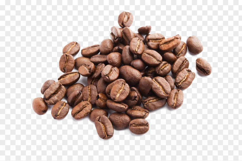 Coffee Jamaican Blue Mountain Espresso Seed Drink PNG