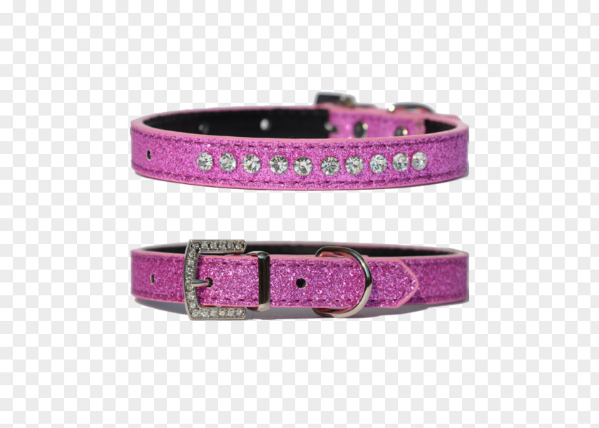 Dog Collar Harness Pet PNG