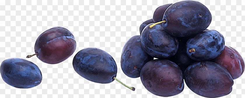 Juniper Berry Plant Bilberry Superfood Damson PNG
