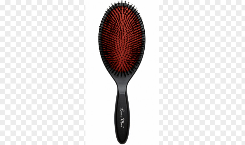 Less Is More Hairbrush Wild Boar Bristle European Beech PNG