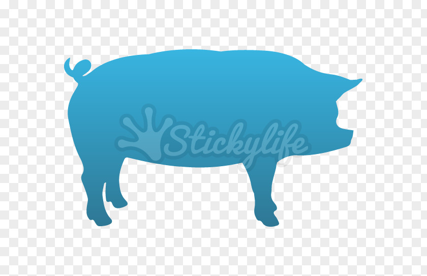 Pig Cattle Snout Clip Art PNG