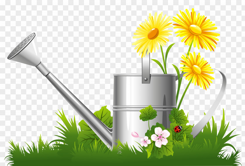 Spring Decoration With Water Can Grass And Flowers Clipart Flower Garden Clip Art PNG