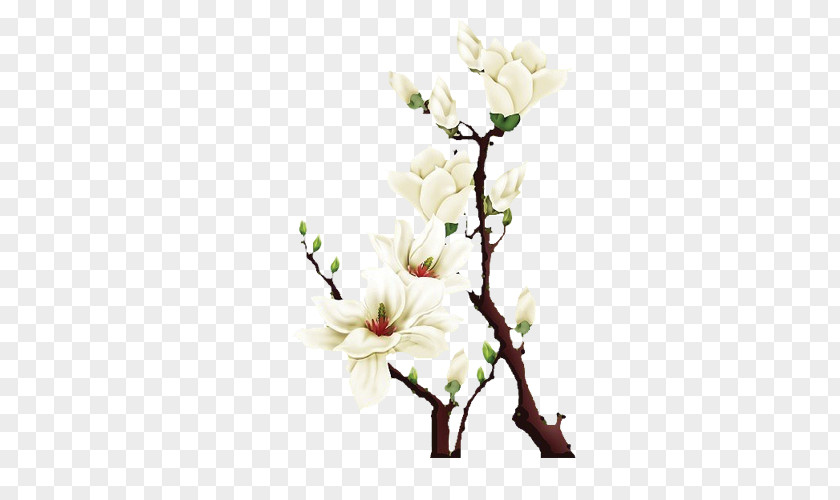 White Flowers Floral Design Petal Flower PNG