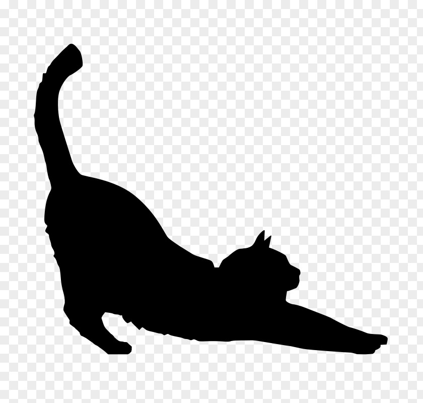 Cat Black Silhouette Stencil Clip Art PNG