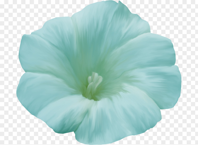 Flower Petal Floral Design Poppy Blue PNG