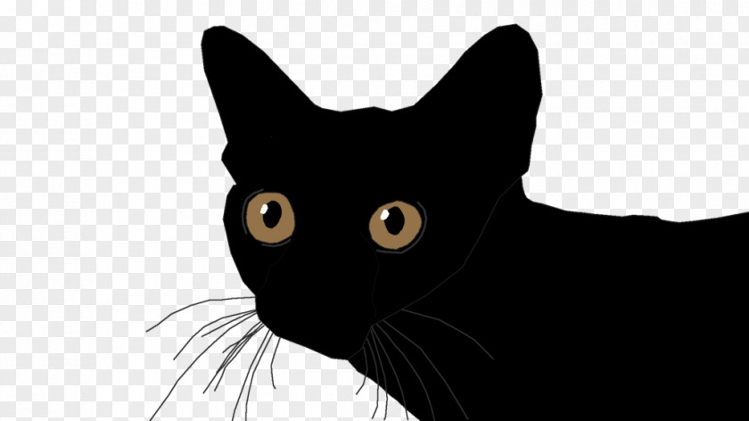 Kitten Bombay Cat Black American Wirehair Korat PNG