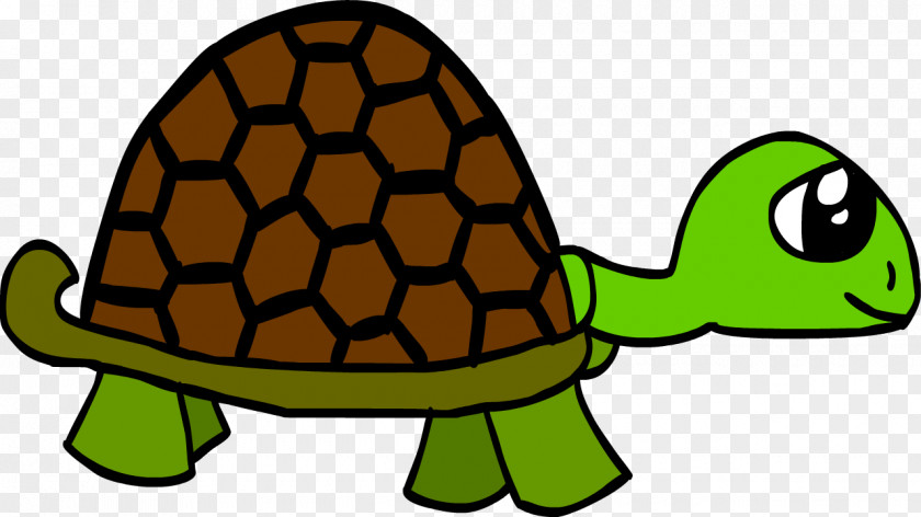 Turtle Tortoise Beer Mexico Clip Art PNG