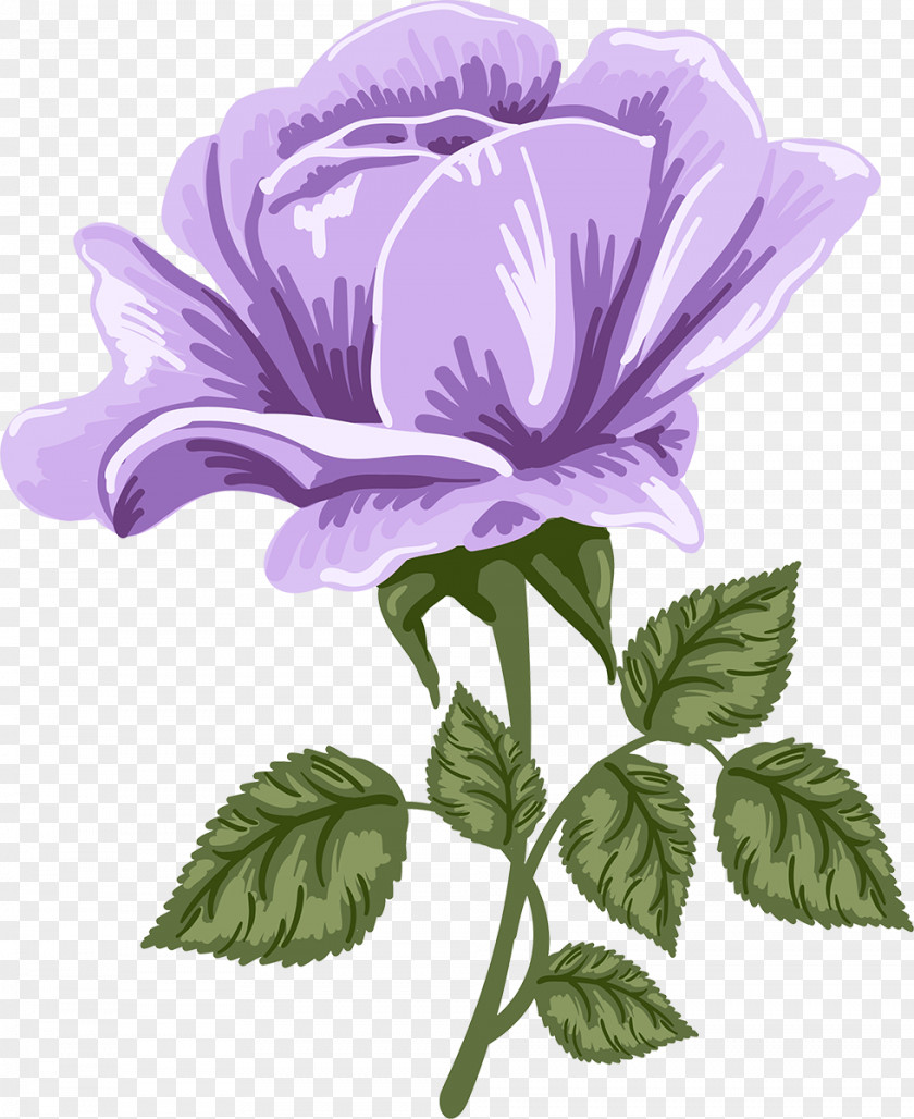 Viola Anemone Purple Watercolor Flower PNG