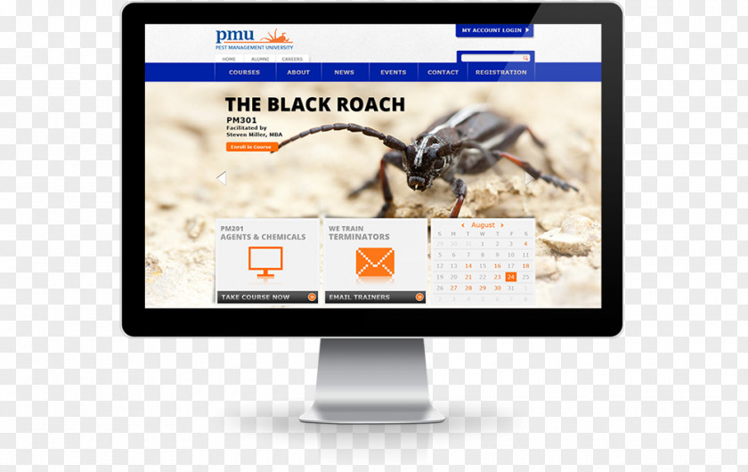 Web Design Development Responsive Multimedia PNG