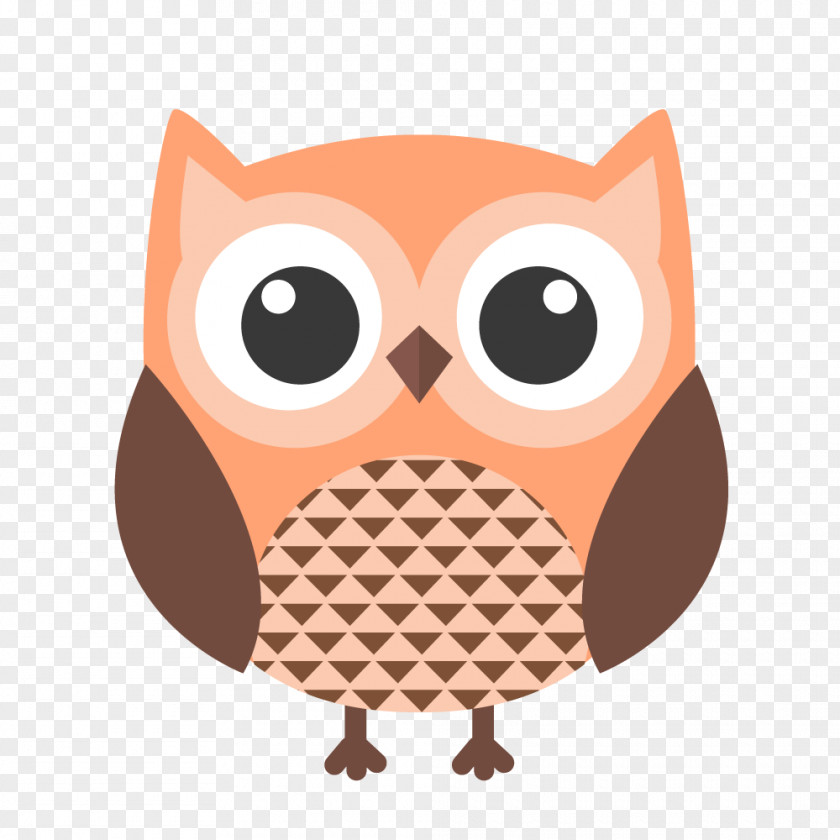 Cartoon Owl Vector Graphics Clip Art Drawing PNG