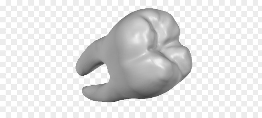 Ear Jaw Mouth Tooth Figurine PNG