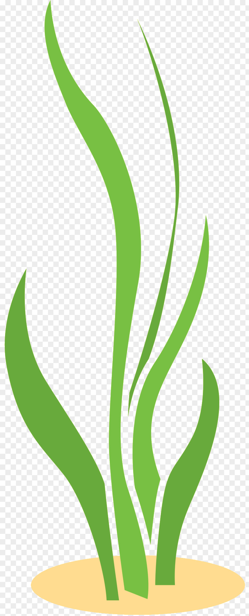 Leaf Clip Art Plant Stem Line Commodity PNG