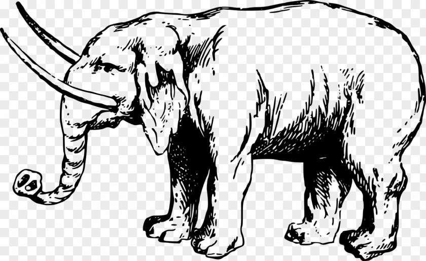 Africa Indian Elephant African Elephantidae Drawing Clip Art PNG