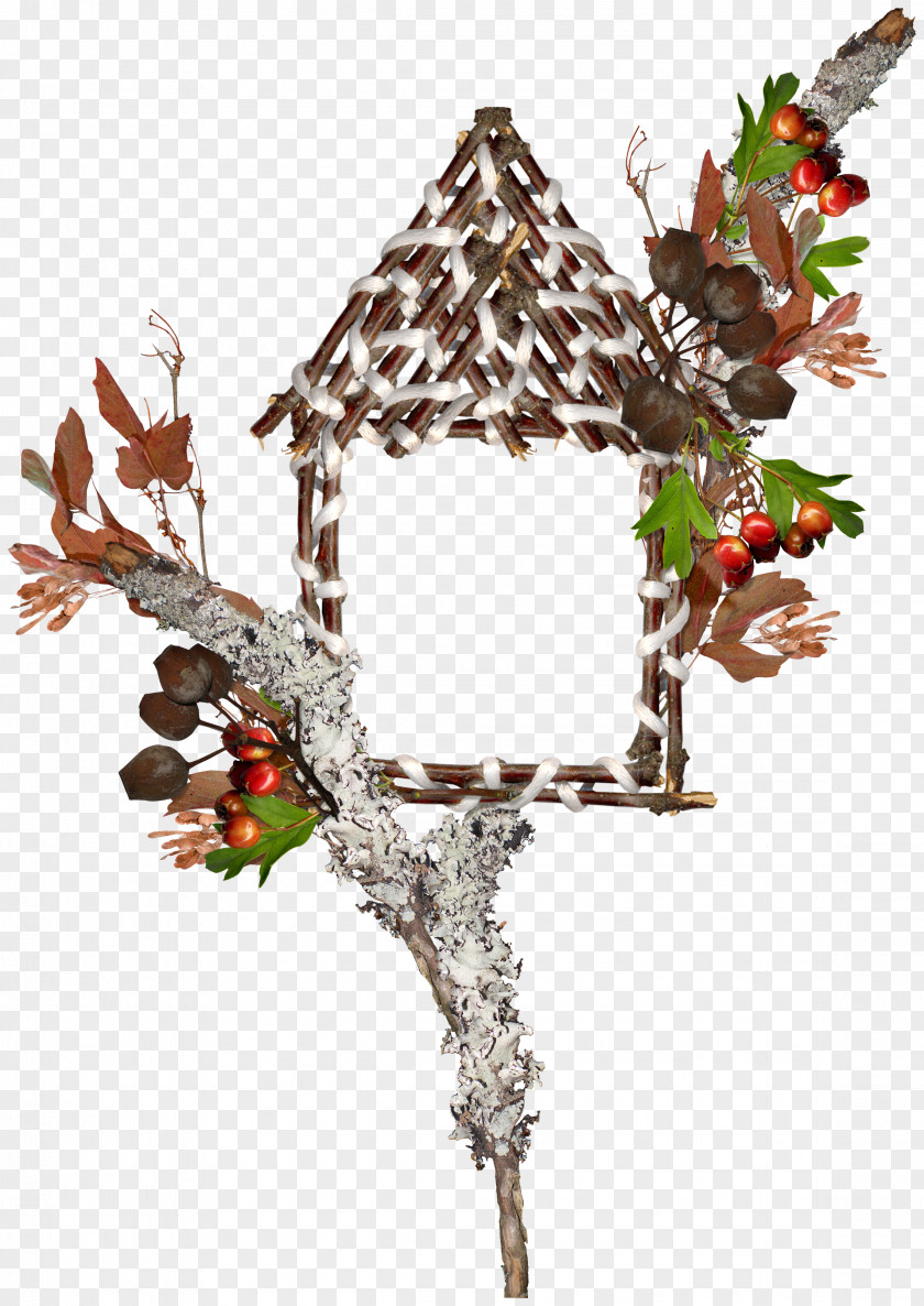 Branch Foliage House Illustration PNG