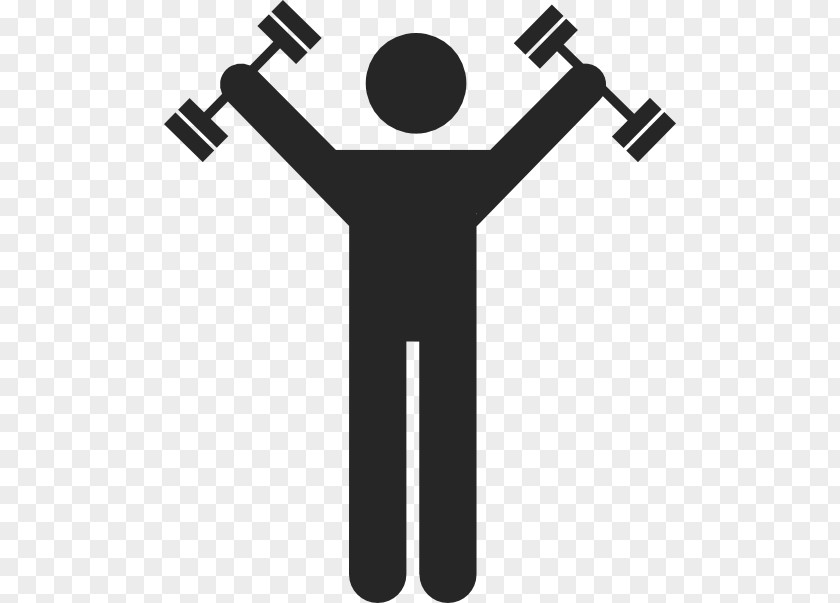 Dumbbell Exercise PNG