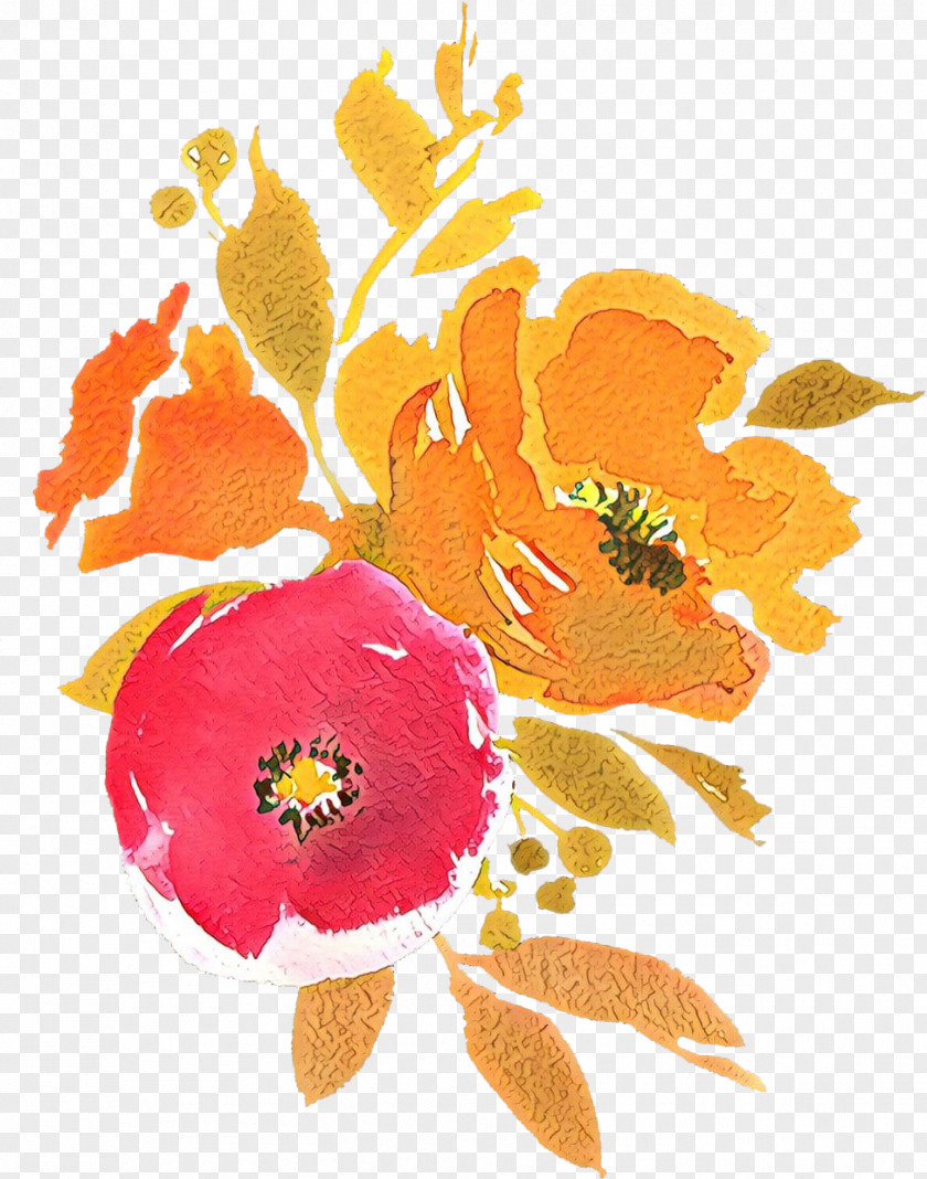 Poppy Family Wildflower Orange PNG