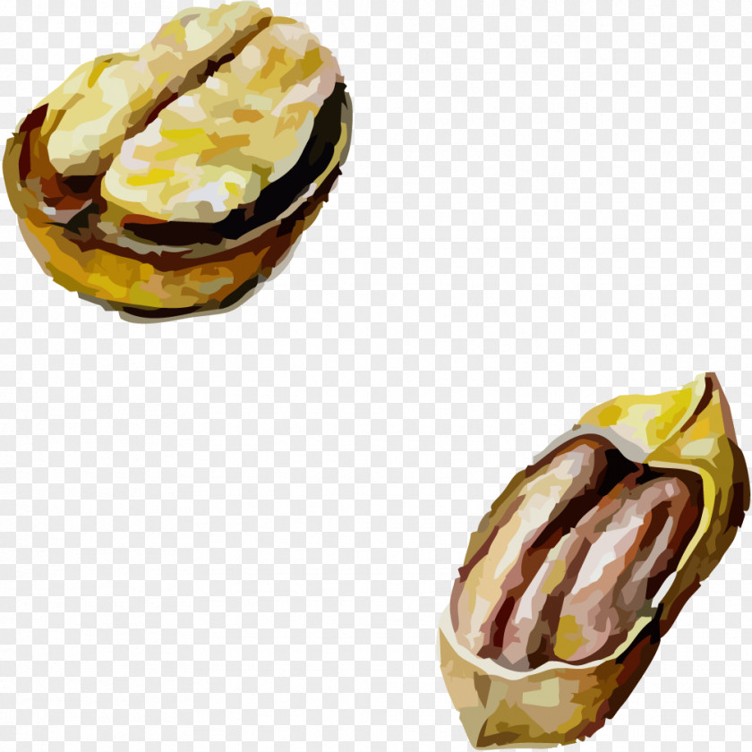 Walnut Nuts English Pistachio Food PNG