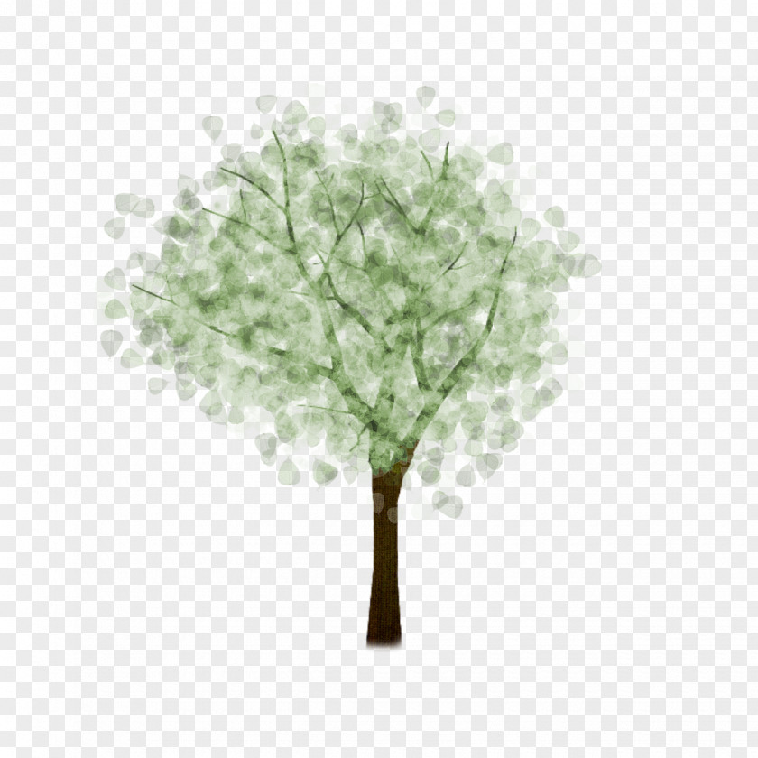 Beautiful Summer Foliage Image Desktop Wallpaper Tree Painting PNG