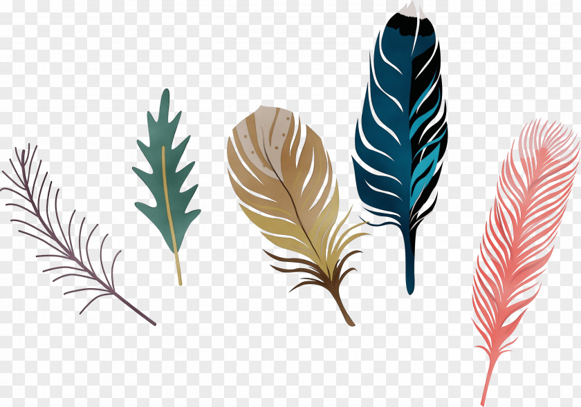 Flower Vascular Plant Feather PNG