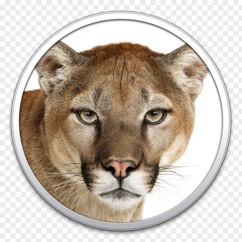 Puma OS X Mountain Lion MacOS Mac Apple PNG