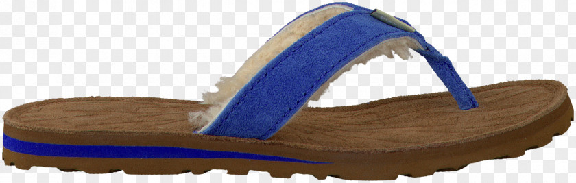 Sandal Flip-flops Shoe Blue Ugg Boots PNG