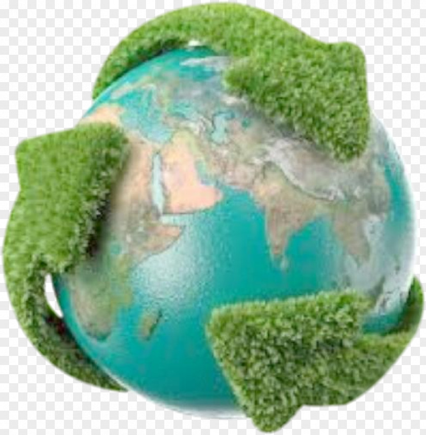 Sustentabilidade Earth Natural Environment Green World Day Desktop Wallpaper PNG