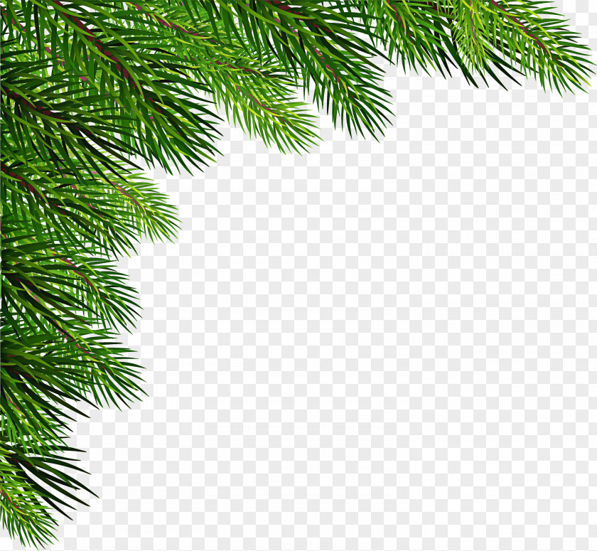 Christmas Decoration Cypress Family Tree White PNG