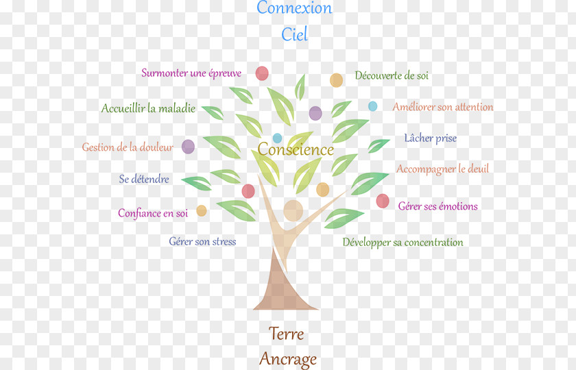 Croquis Sophrology Tree Lv Sophrologie Energy Medicine PNG