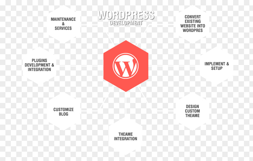Design Web Development WordPress PNG