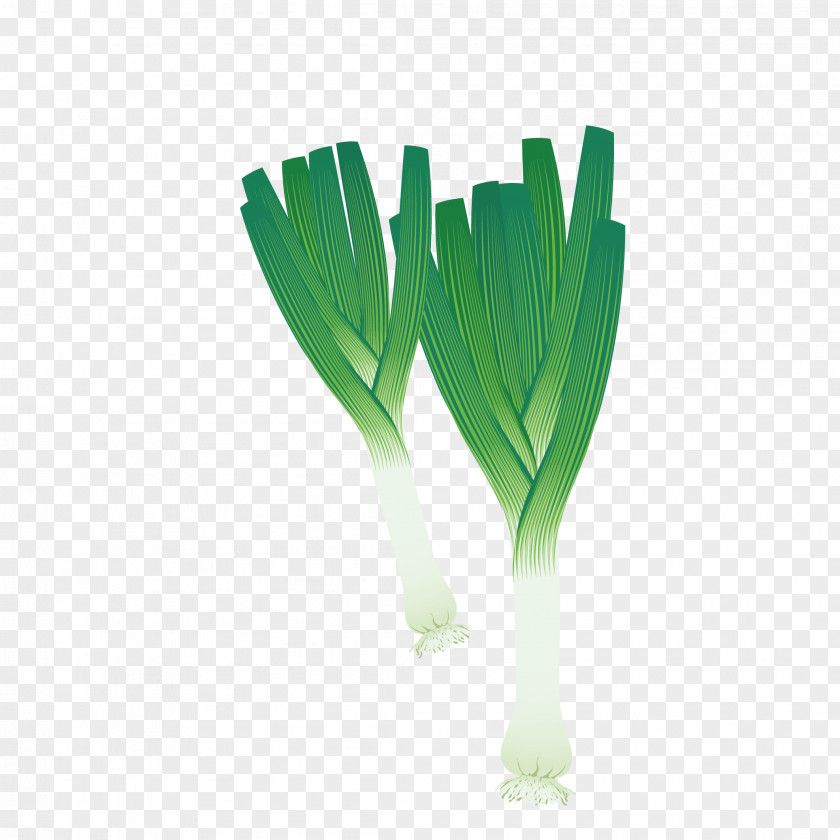 Fresh Onions Leek Vegetable Scallion Clip Art PNG